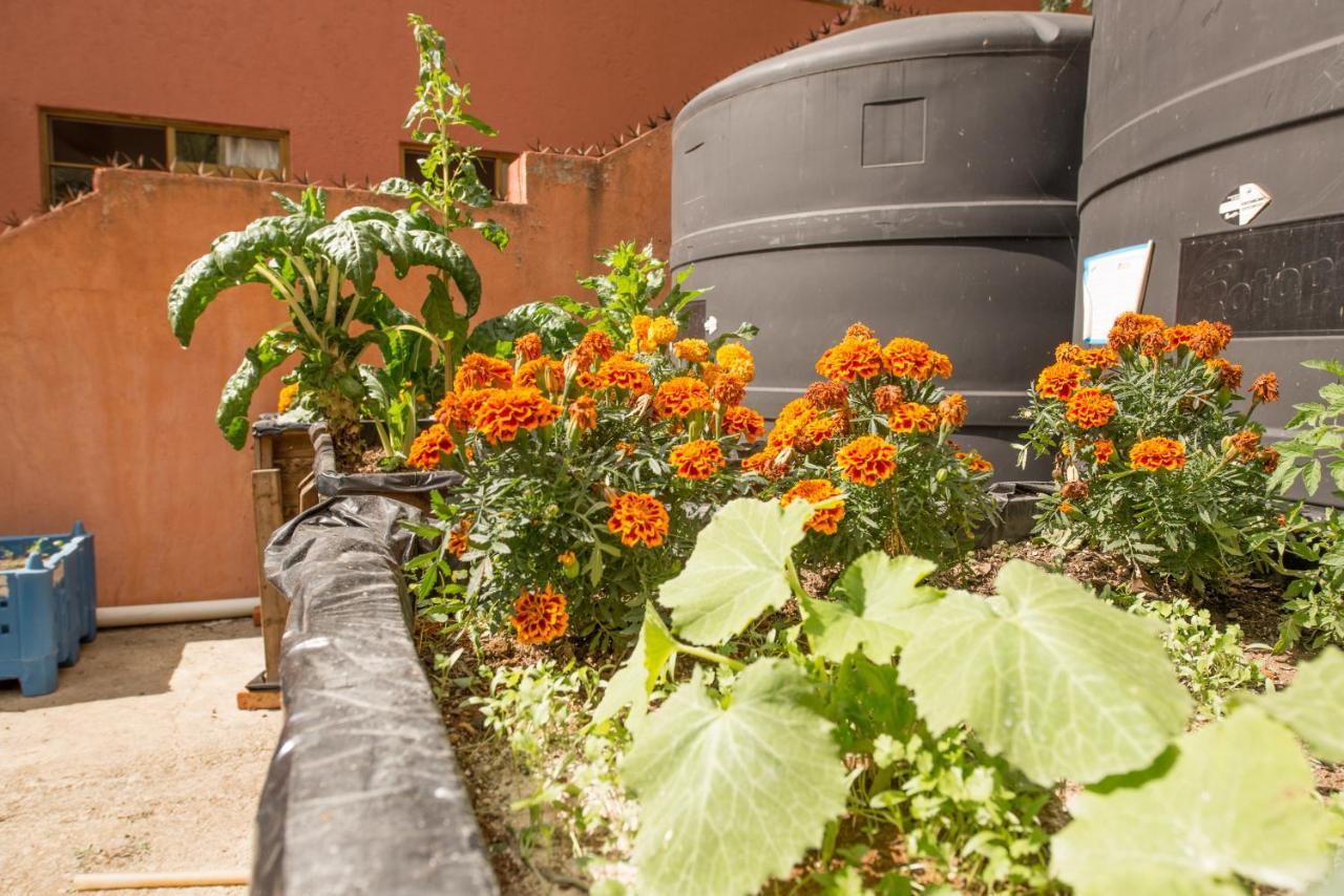 Casa Estrella De La Valenciana Hotel Boutique Guanajuato Exteriér fotografie