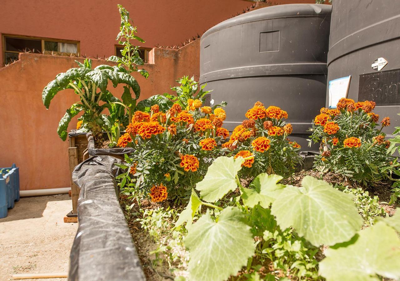 Casa Estrella De La Valenciana Hotel Boutique Guanajuato Exteriér fotografie