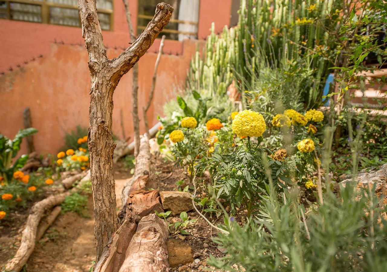 Casa Estrella De La Valenciana Hotel Boutique Guanajuato Exteriér fotografie